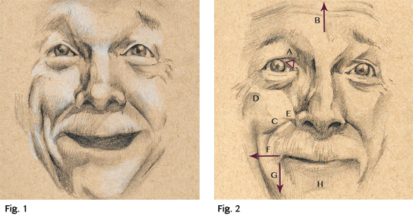 Artistic Facial Expression Analysis